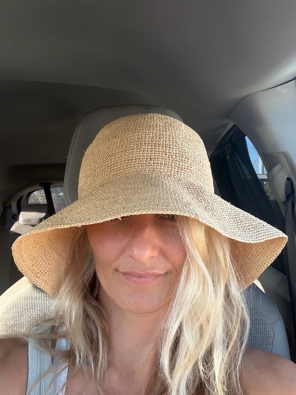 Aritzia Hat